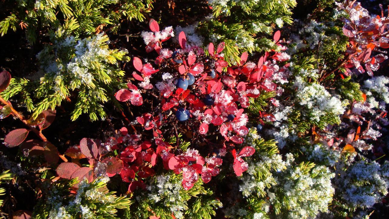 Nordic Natura Garthur Εξωτερικό φωτογραφία